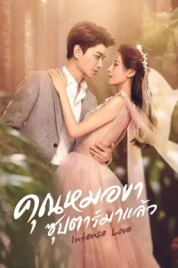 ดูซีรี่ย์ออนไลน์ Intense Love (2020)